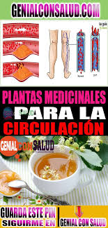 Hierbas Medicinales Para Mejorar La Circulacion En Las Piernas Helpful Hints Health Tips