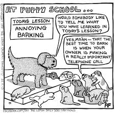 Puppy Cartoon Funny Dog Captions Dog Jokes Puppy School