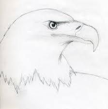 Black And White Eagle Painting Pin By Kristy Amalia Drawing On Drawing Ideas Eagle Drawing Eagle Painting Eagle Sketch