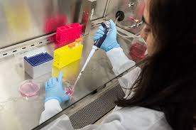 100 years after the advent of TB vaccines, formulations vary widely