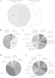 Ruime keuze uit verschillende proteïne shakes en proteïne poeder. Urinary Biomarkers For The Diagnosis Of Cervical Cancer By Quantitative Label Free Mass Spectrometry Analysis