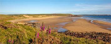 Pin By Igot7 Army On Travel Bug Pembrokeshire Beach Magical Places