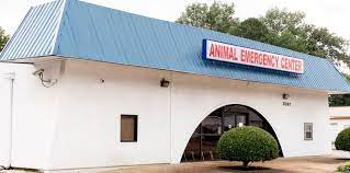 Check spelling or type a new query. Emergency Vet Memphis Tn After Hours Veterinary Care Animal Emergency Center Memphis
