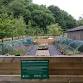 Volunteer day at Bowlees tree nursery event image