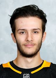 Player photos for the 2019-20 Wheeling Nailers at hockeydb.com