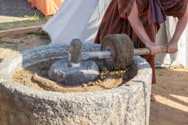 429 Ancient Press Olive Oil Stock Photos - Free & Royalty-Free Stock Photos  from Dreamstime