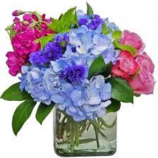 The majority of the road is signed as state road 808 (sr 808), but the westernmost 3.5 miles (5.63 km) is designated as county road 808. Boca Raton Florist Flower Delivery Boca Raton Birthday Flowers Boca Raton Fl Florist Same Day Flower Delivery