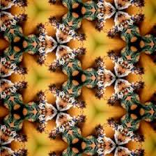 Abigail Bartell (abigail_bartell)