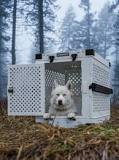 Impact Dog Crates | Heavy Duty Dog Crates & Kennels