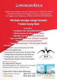 Kirim loker terbaru ke emailmu. Pt Mega Ratu Walet Sebagai Solusi Tempat Kerja Posts Facebook