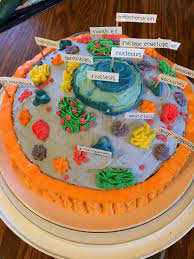 Making an animal cell out of cake. Animal Cell Project Made Of Cake Animal Cell Project Plant Cell Project Edible Cell Project