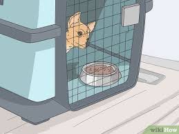 But suppose at all you need to carry your pet cat along with you while you travel a long distance in your car. 3 Easy Ways To Travel A Long Distance With A Dog Wikihow