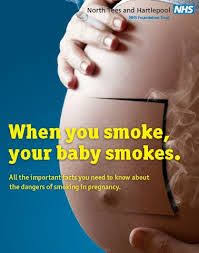 Pin On Just For School