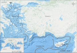 Image result for Emilia caespitosa