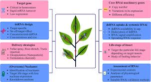 Pests can turn into an exceptionally fundamental issue if not considered significant. Current Scenario Of Rnai Based Hemipteran Control Jain 2021 Pest Management Science Wiley Online Library