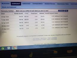 Michigan How Can I Solve Additional Claim Required In My Pua Unemployment