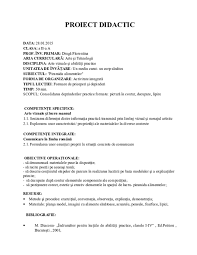 · ghid pentru proiecte tematice: Piuit Scopul Puzzle Proiect Abilitati Practice Filmarizalau Ro