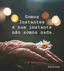57 Melhores Ideias de Vida e morte. em 2020 | Mensagens de luto ...