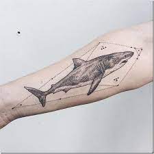 Maybe you would like to learn more about one of these? Sharks Tattoos The Most Effective Footage Shark Tattoos Animal Tattoos Trendy Tattoos