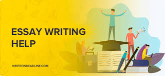 Get Essay Writing Help For Experts - Write On Deadline
