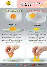 Maybe you would like to learn more about one of these? Hoax Telur Palsu Beredar Kembali Simak Tips Membeli Telur Berkualitas Baik Heni Puspita