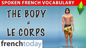 In this lesson, you will learn the french words for body parts, including terms for the head and face as well as body parts such as legs and hands. 130 French Body Terms Video
