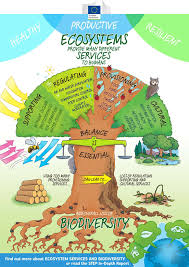European Commission Science For Environment Policy Multimedia Environmental Science Projects Ecosystems Ecosystems Projects