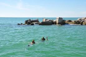 In tampa bay, egmont key, an island that was once a civil war refugee camp, is now a bird rookery and historic site, with trails accessible only by boat. Egmont Key Snapper Addict Fishing Charters