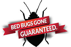 Pest control service in indianapolis should be done correctly by technicians who know how to administer treatments and are respectful to your orkin has an extensive track record of helping residents get rid of bed bugs in indianapolis. Bed Bug Control Exterminator In Indiana 99 Pest Control