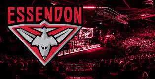 Here for the #godons content. Essendon Football Club Has Acquired A Top Esports Team