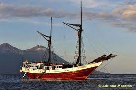 Pin Di Dive Travel