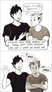 Check spelling or type a new query. Bokuto Oikawa Bokuto Kuroo Haikyuu Novocom Top