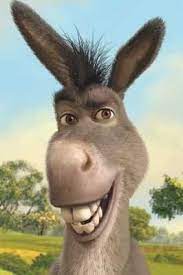 I ain't never gotten over that. 10 Shrek Donkey Ideas Shrek Donkey Shrek Donkey