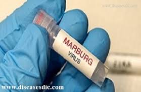 Lassa fever, yellow fever, marburg and dengue fever. Marburg Virus Disease Symptoms Treatment And Prevention