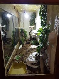 Selfmade Terrarium Diy Terrarium Selfmade Bartagam Terrarium Diy Terrarium Plants Terrarium
