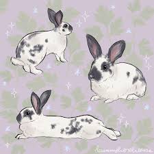 Pet Portrait Personalised Custom Digital Rabbit Bunny Animal Artwork Commission Etsy Art Dr Rabbit Illustration Drawing Bunny Artwork Rabbit Illustration