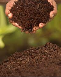 We did not find results for: Coco Peat Compost Enriched Coir Compost Fibre Familyfibre Family