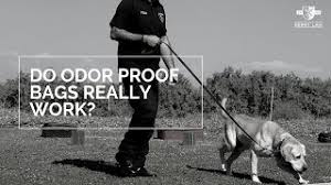 Can Drug Dogs Smell Vapes?