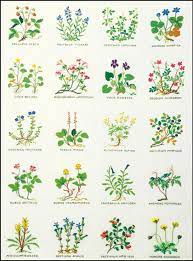 Maybe you would like to learn more about one of these? Flowers From Haandarbejdets Fremme Gerda Bengtsson Cross Stitch Kits Kits Casa Cenina