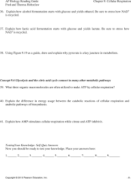 Tree by preventing cellular respiration juglone is contained. 1 Explain The Difference Between Fermentation And Cellular Respiration Pdf Free Download