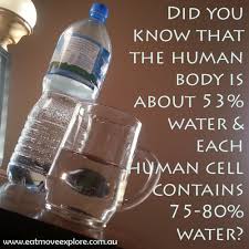 How many ounces of water in a water bottle? How Much Water Eatmoveexplore