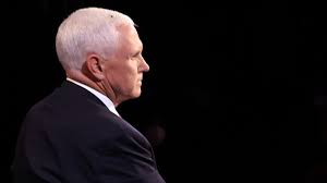 The Funniest Tweets About The Fly In Pence S Hair During The Vp Debate Wsbuzz Com