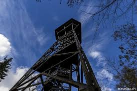 wandern im wildnispark shilwald zurich aussichtsturm wildnis ausflug