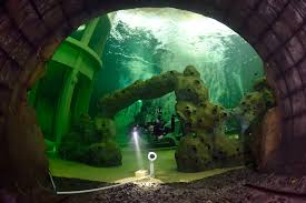 Indoor Duiken Todi The Ultimate Diving Experience Duiken Magazine