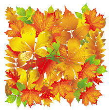 Find high quality fall leaves clip art, all png clipart images with transparent backgroud can be download for free! Transparent Fall Leaves Gallery Yopriceville High Quality Images And Transparent Png Free Clipart