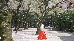 Check spelling or type a new query. é–å›½ç¥žç¤¾ æ¡œå¹é›ª 2016 4 9 Youtube