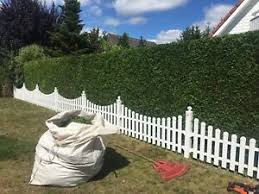 Wirtschaftsdienste im branchenbuch für hohen neuendorf, ot bergfelde: Gartenpflege Dienstleistungen Fur Haus Garten In Hohen Neuendorf Ebay Kleinanzeigen