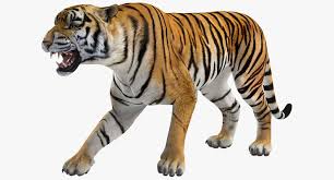 3d Model Tiger Roar Tiger Roaring Tiger 3d Model