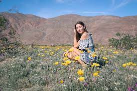 28k likes · 1,286 talking about this · 166,838 were here. Sasha San Diego Anza Borrego Desert State Park Super Bloom Sasha San Diego