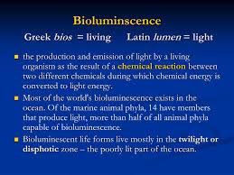Latin afrikaans albanian arabic armenian bosnian catalan chinese czech danish dutch english. Ppt Bioluminscence Greek Bios Living Latin Lumen Light Powerpoint Presentation Id 1091972